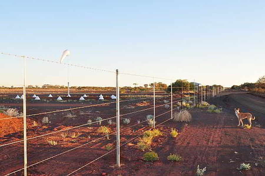 Rural Airstrip fencing