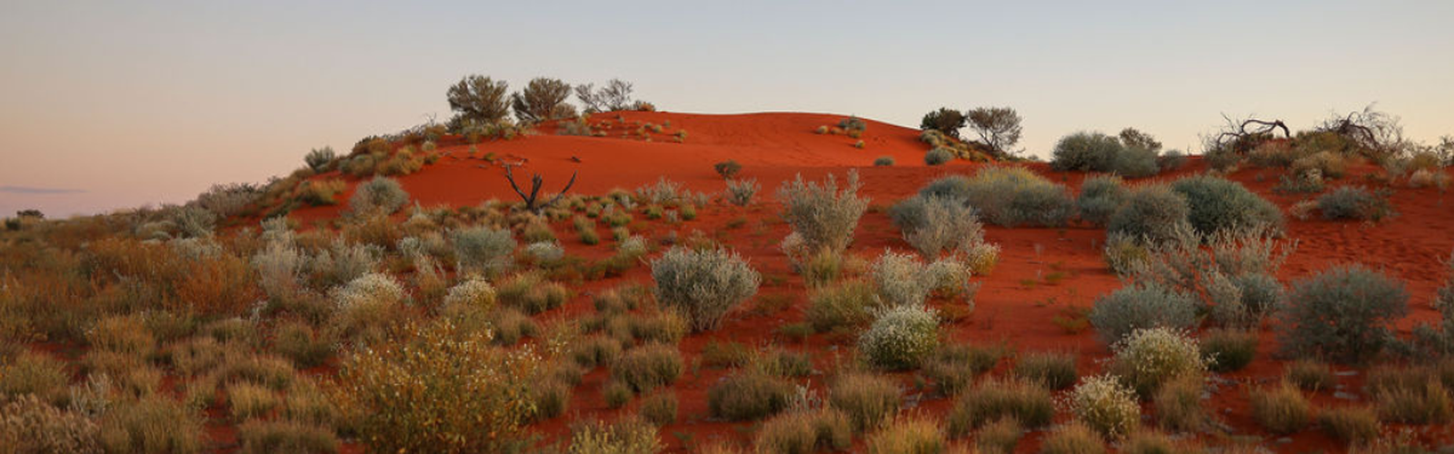 National Reconciliation Week 