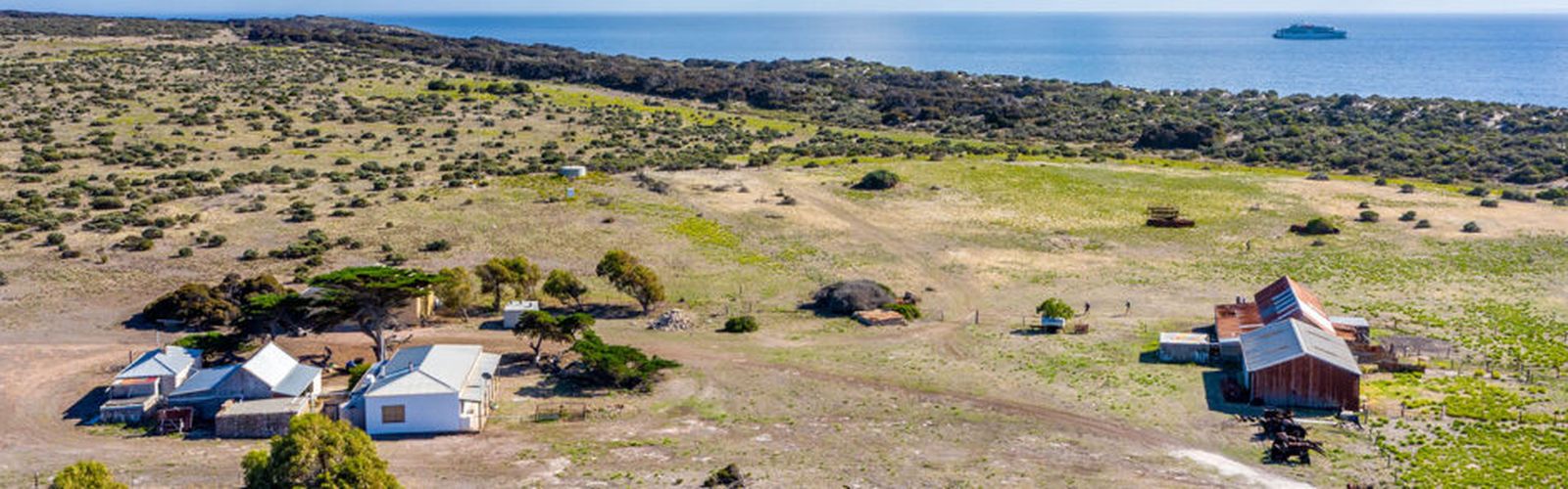 Peter Woolford stroke victim story