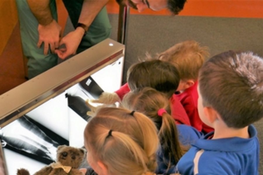 teddy bears being x-rayed by children
