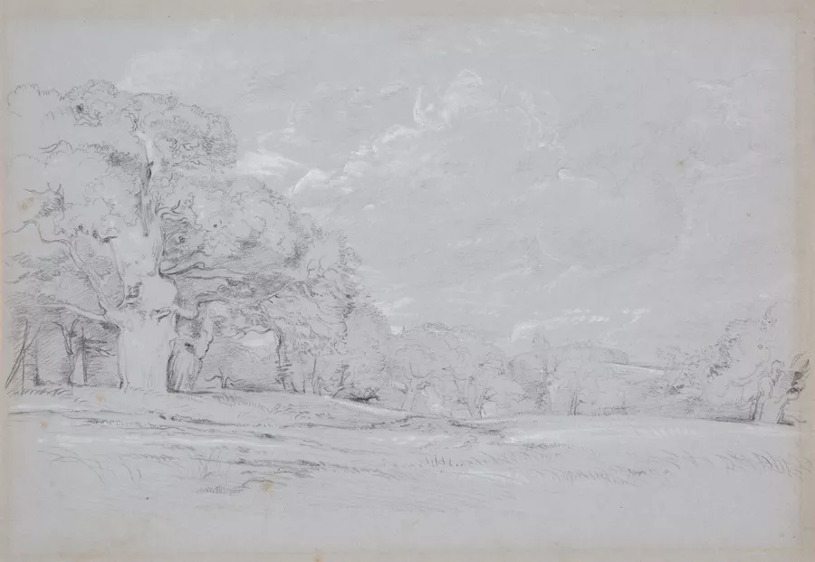 Landscape sketch - AGSA Collection