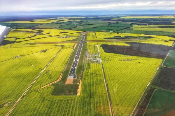 graham moss retrieval 