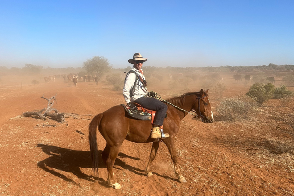Luke on horse