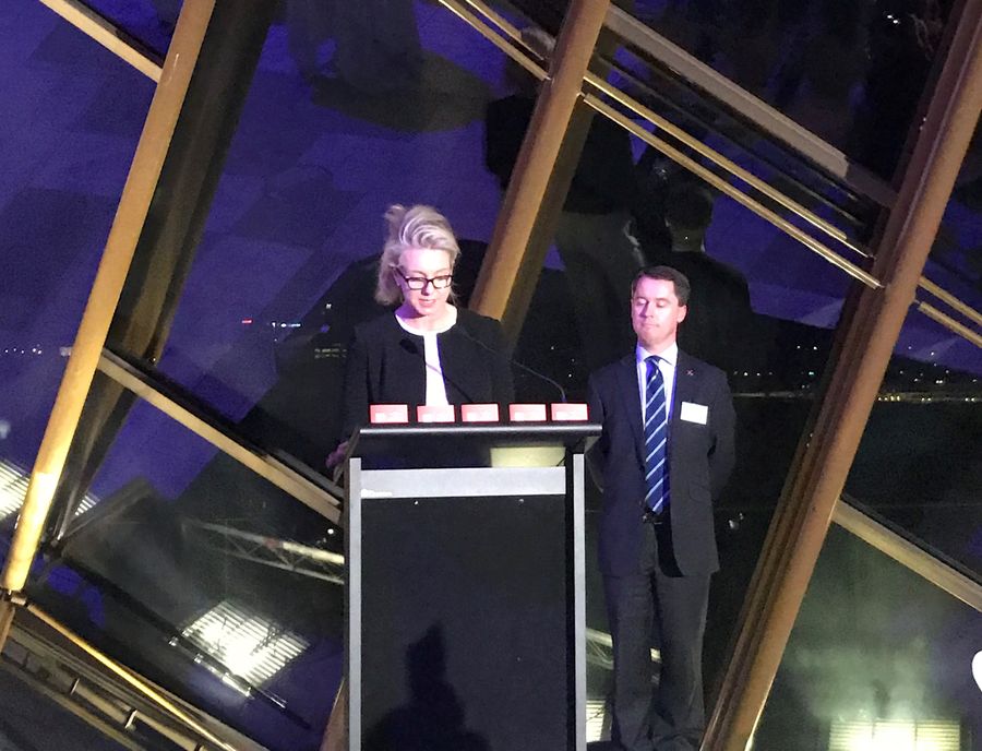 Senator Mckenzie opening exhibit