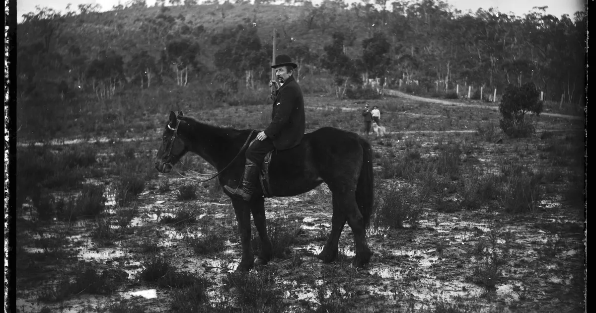 Man on horseback, rifle held upright in hand - AGSA Collection