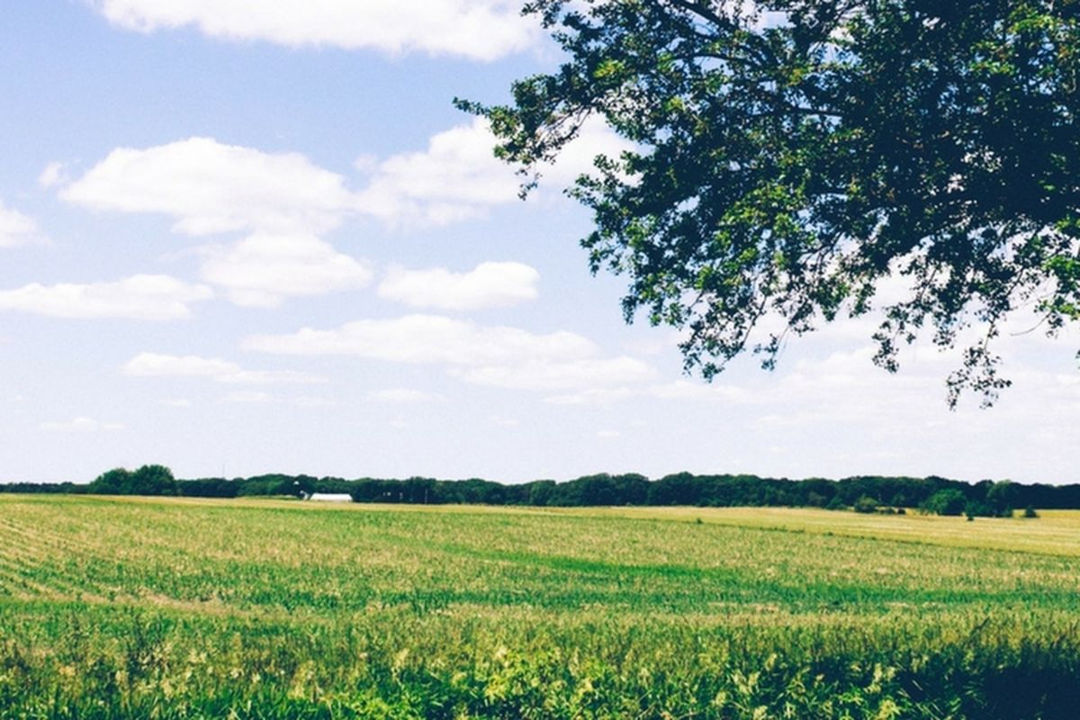 Countryside Landscape