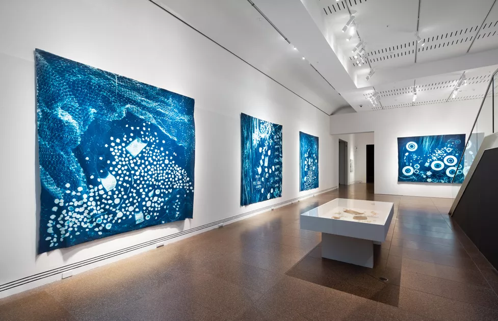 First Fridays: Auslan Guided Tour of Tarnanthi - AGSA