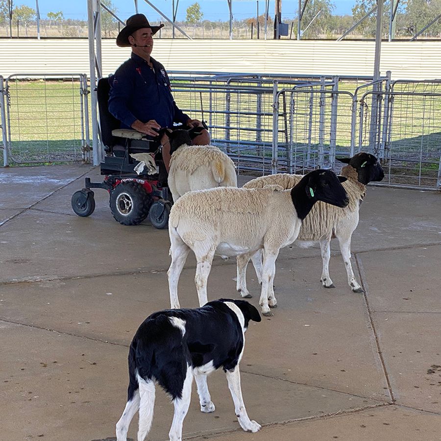 Mental health workshops