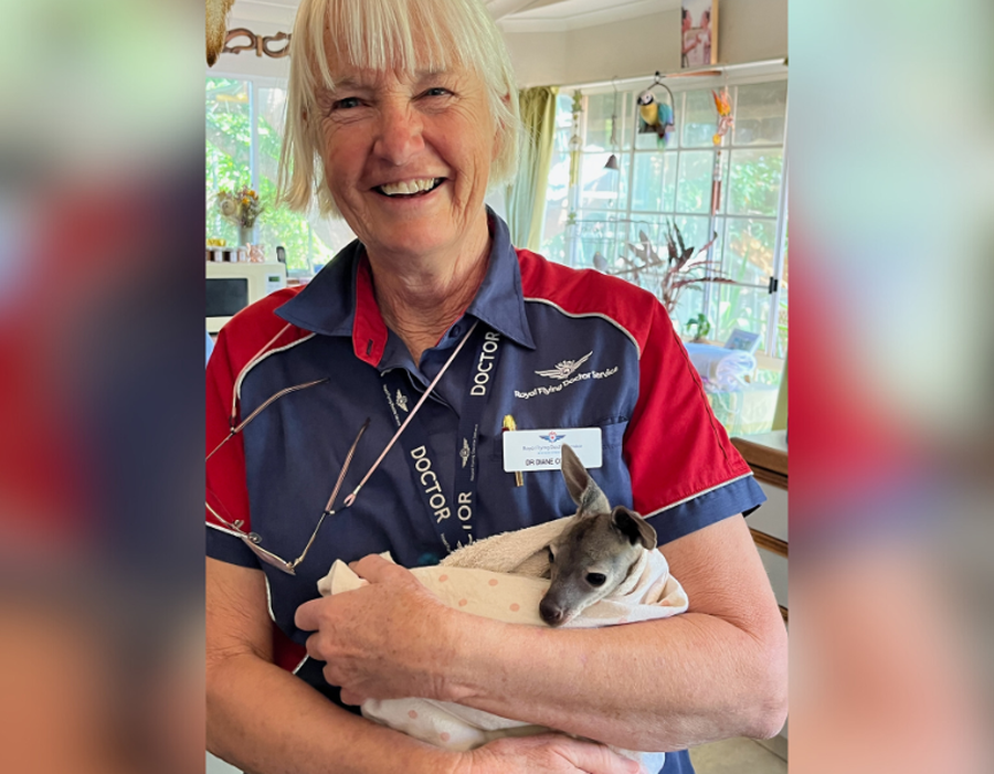 Doctor with a baby joey