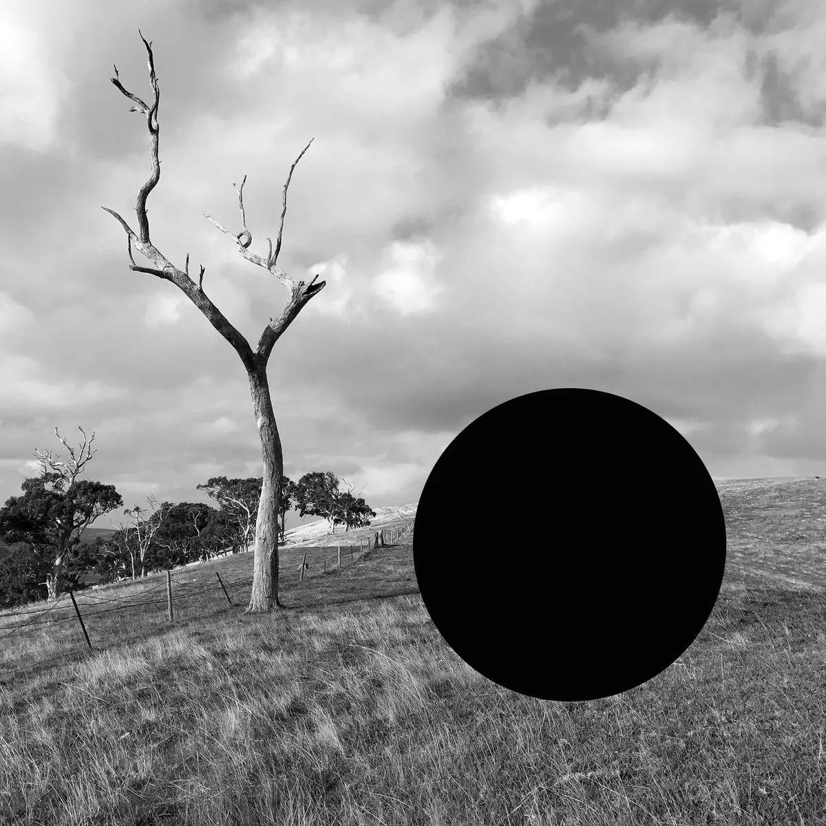 James Tylor: Turrangka...in the shadows
