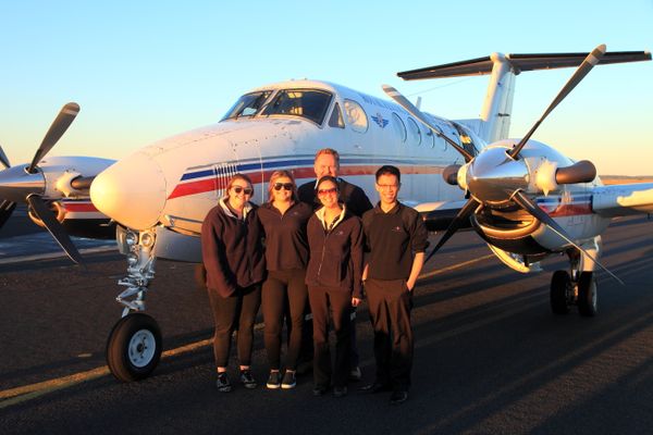 Dental team
