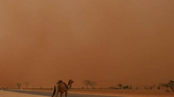 RFDS Drought Wellbeing Serice