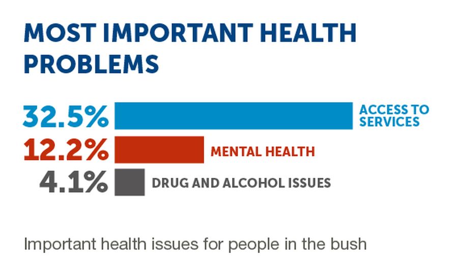 Infographic on health problems in the bush. 