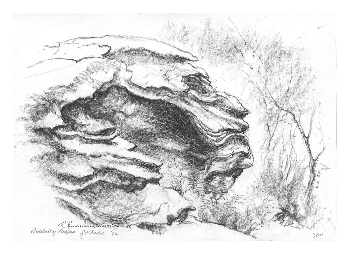 Image of Wallaby Ridge, St Ives