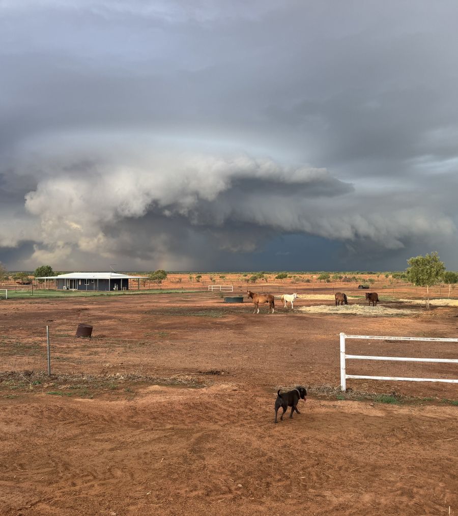 A storm is brewing in the outback.
