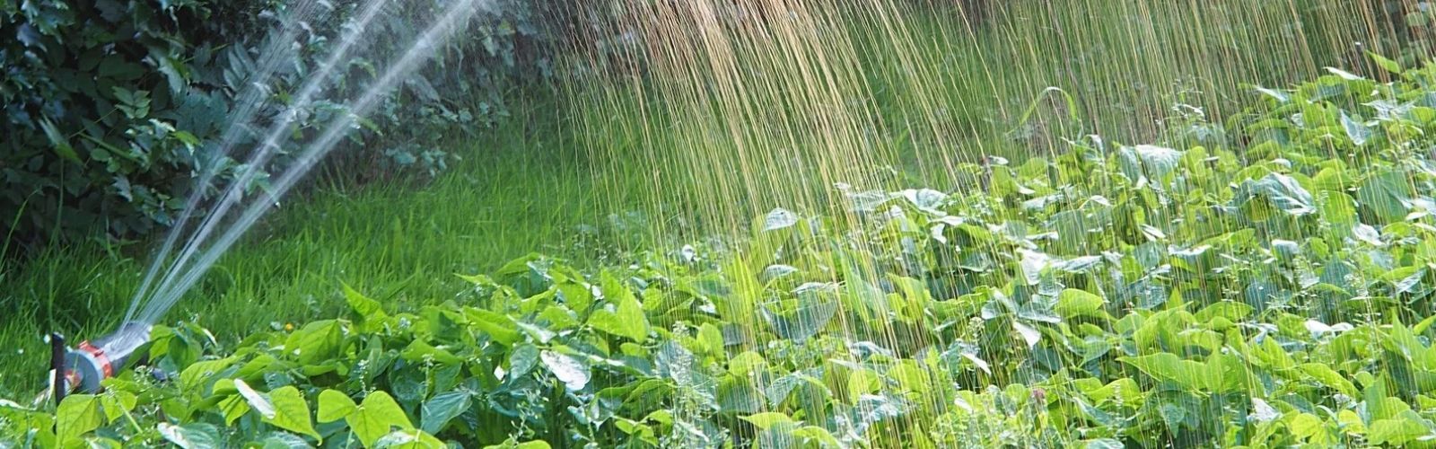 Save water with our water saving fact sheets