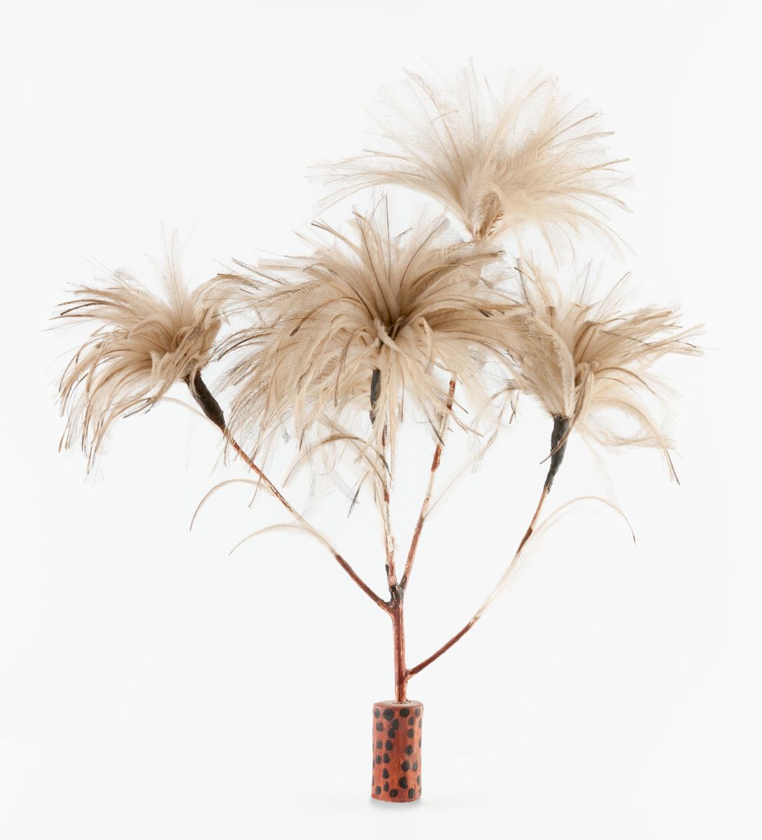 Feather Flowers Agsa Collection