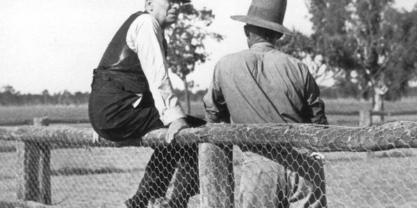 Jimmy Darcy grave