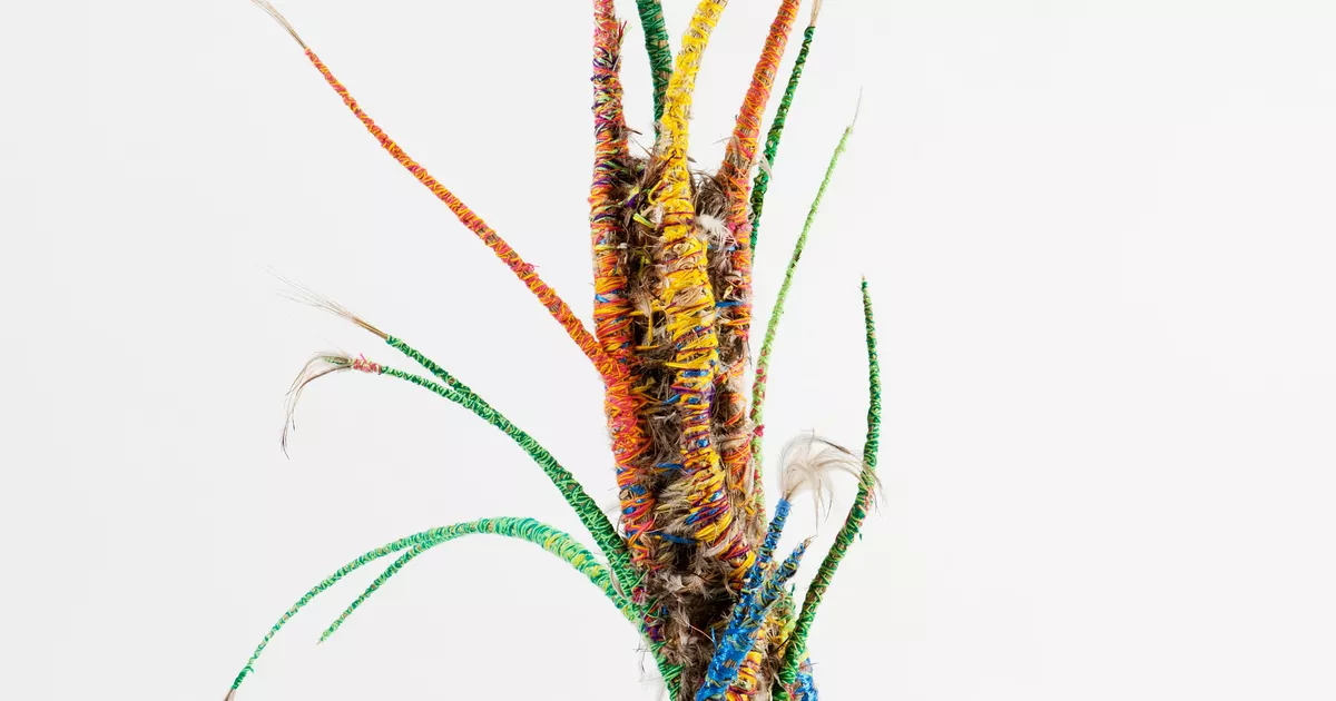 Piltati Punu (Piltati tree) - AGSA Collection