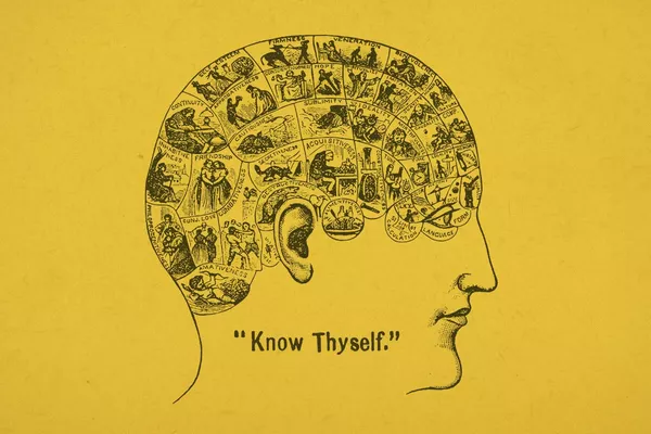 Phrenology diagram from the 1800's: illustrated human head divided up into sections, each one labelled with an emotion. A caption reads "Know thyself".