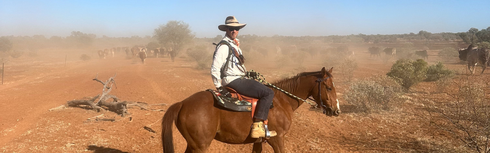 Luke on horse