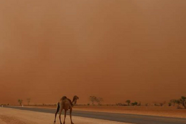 RFDS Drought Wellbeing Serice