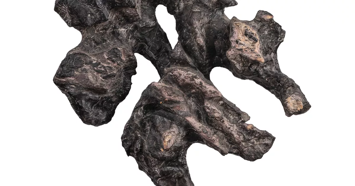 Scholar’s rock, with base - AGSA Collection
