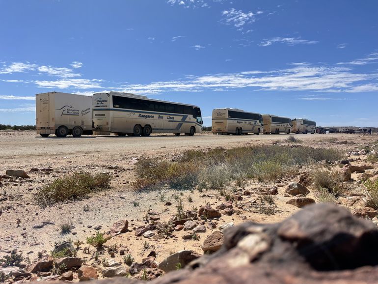 Five Kangaroo Bus Line busses covered in dust on a dirt road with one carrying a trailer