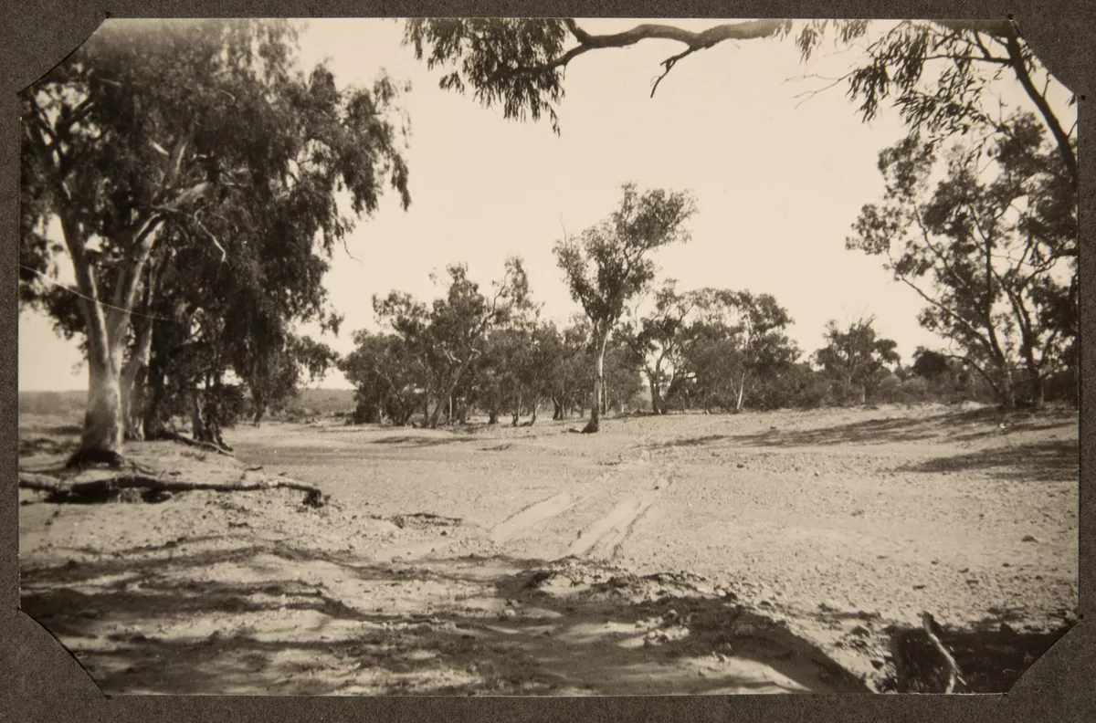 Wide dry watercourse north of Wirrealpa - AGSA Collection