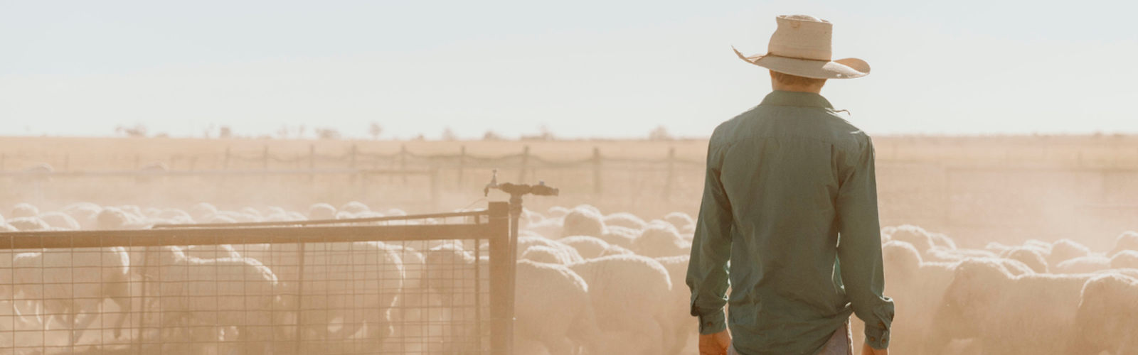 Outback Explorer winner 