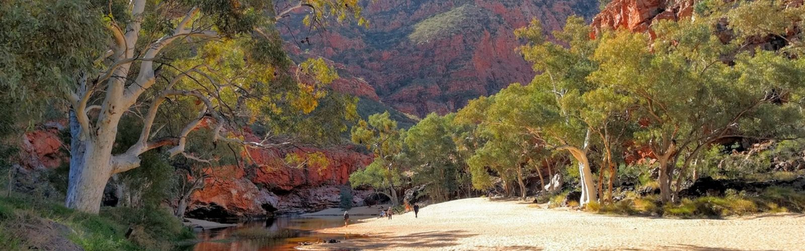 an outback red dirt scene