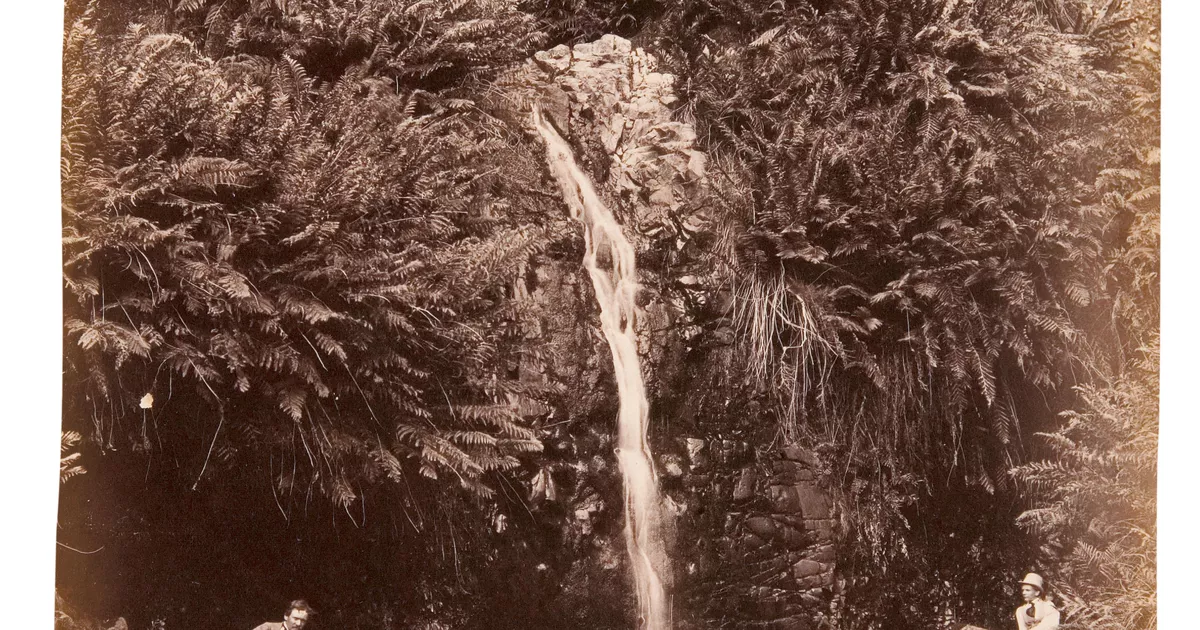 Second waterfall, First creek - AGSA Collection