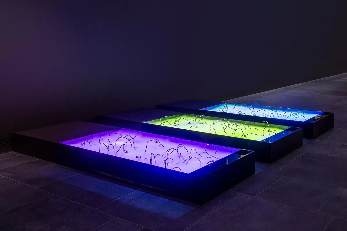 Ramsay Art prize 2021