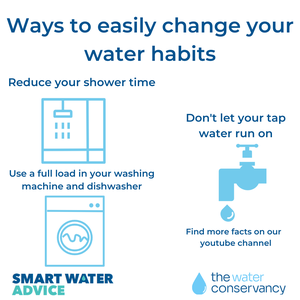 Image gallery thumbnail