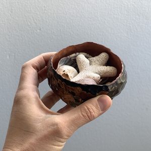 A terracotta bowl containing shells and coral held in one hand