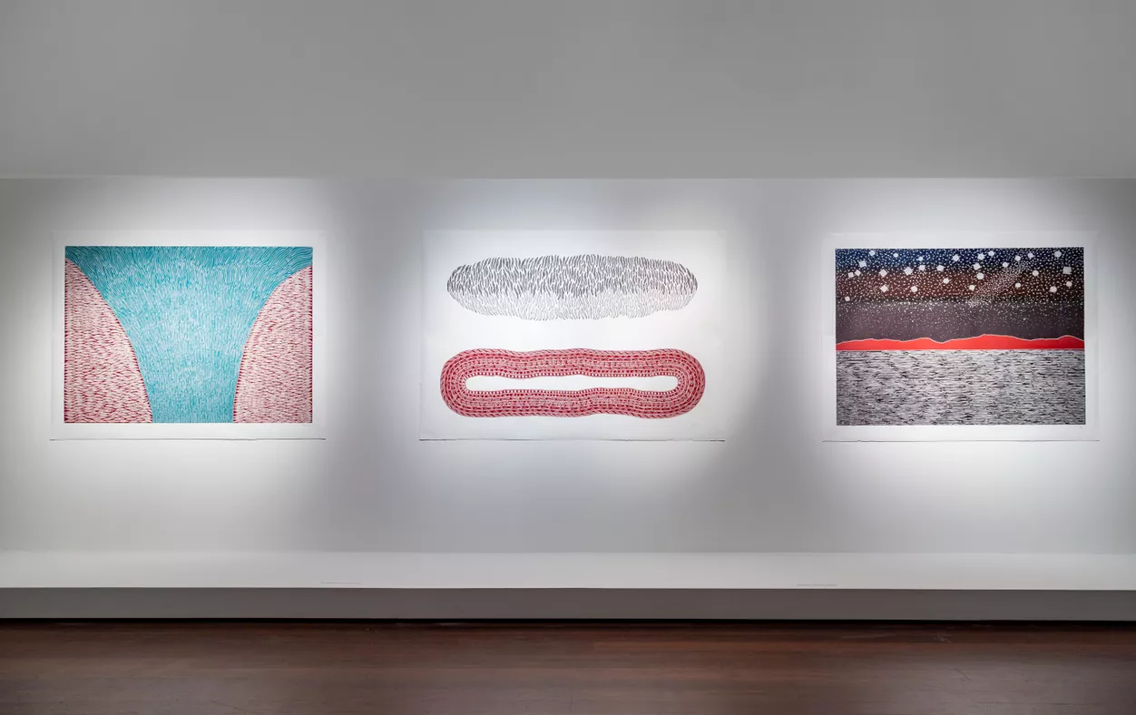 Tarnanthi Virtual Excursion 2023 - AGSA