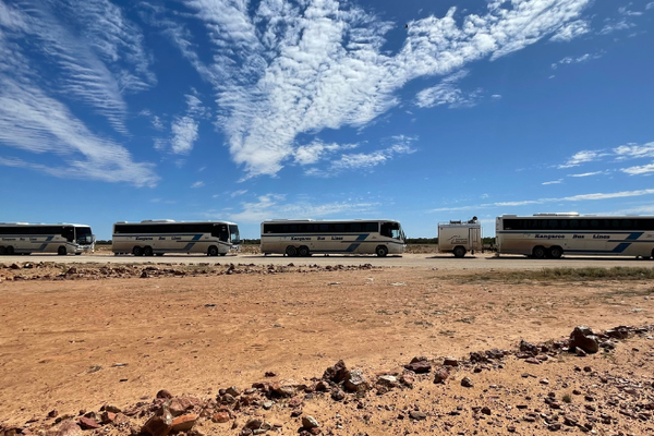 Four Kangaroo Bus Line busses covered in dust on a dirt road