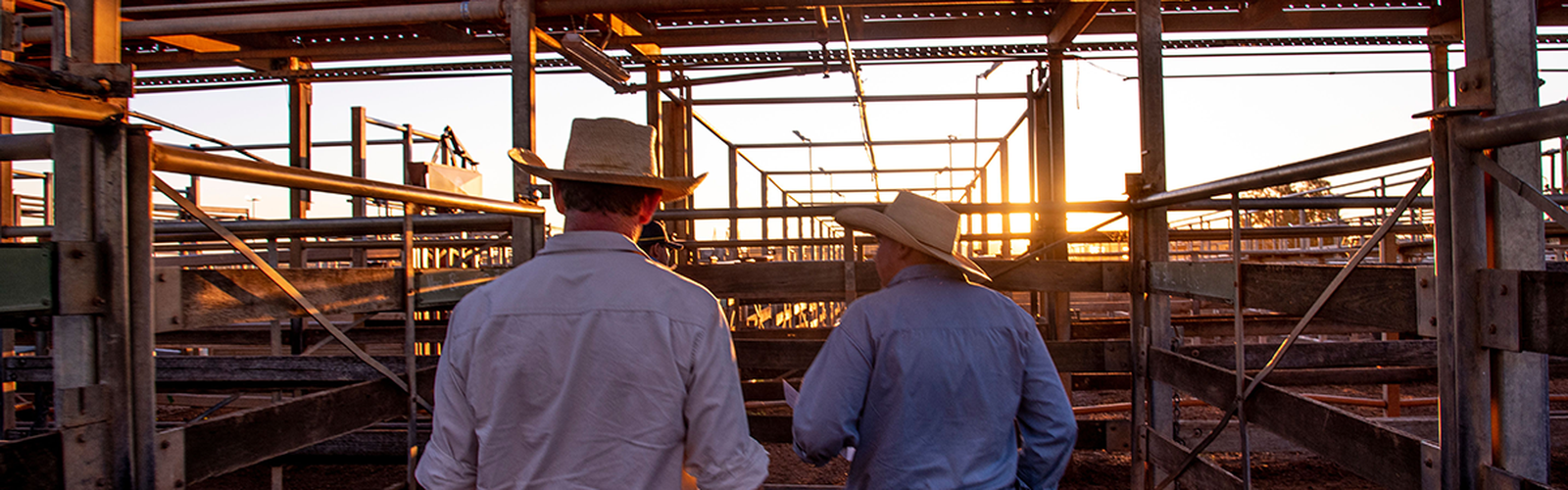 Roma Saleyards