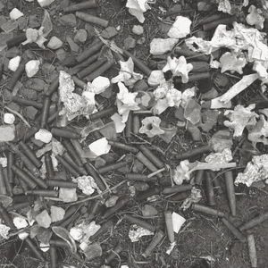 Black and white photograph of Bullets and Bones found in a bowerbird nest