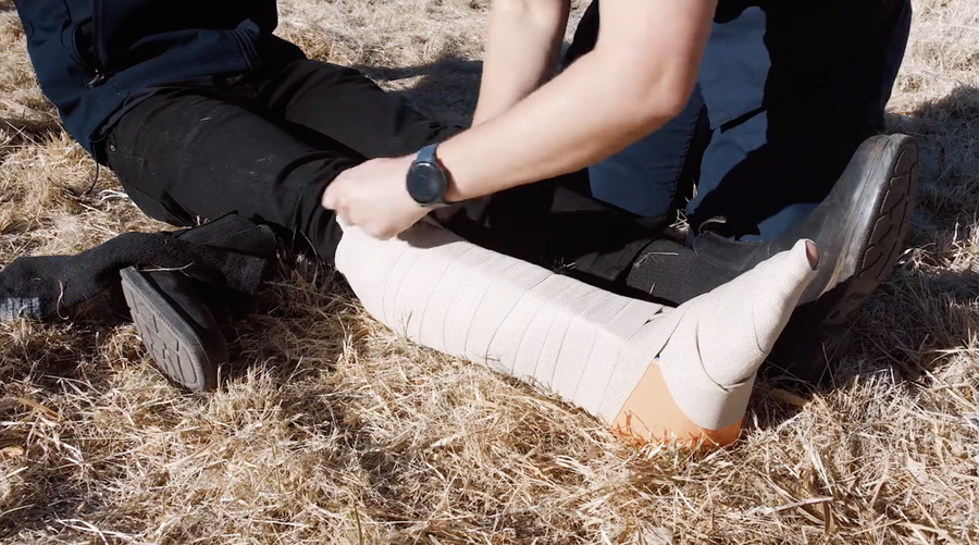 How to treat a snake bite