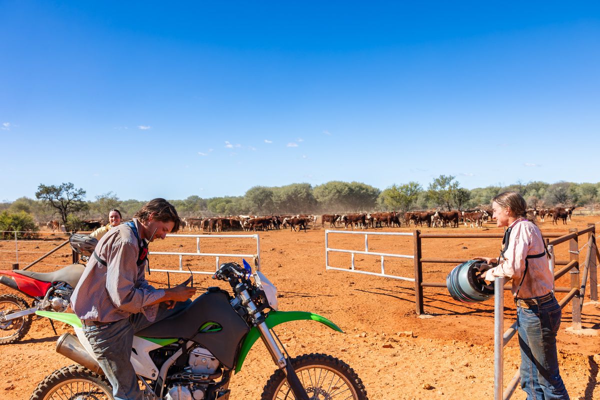 An outback nightmare