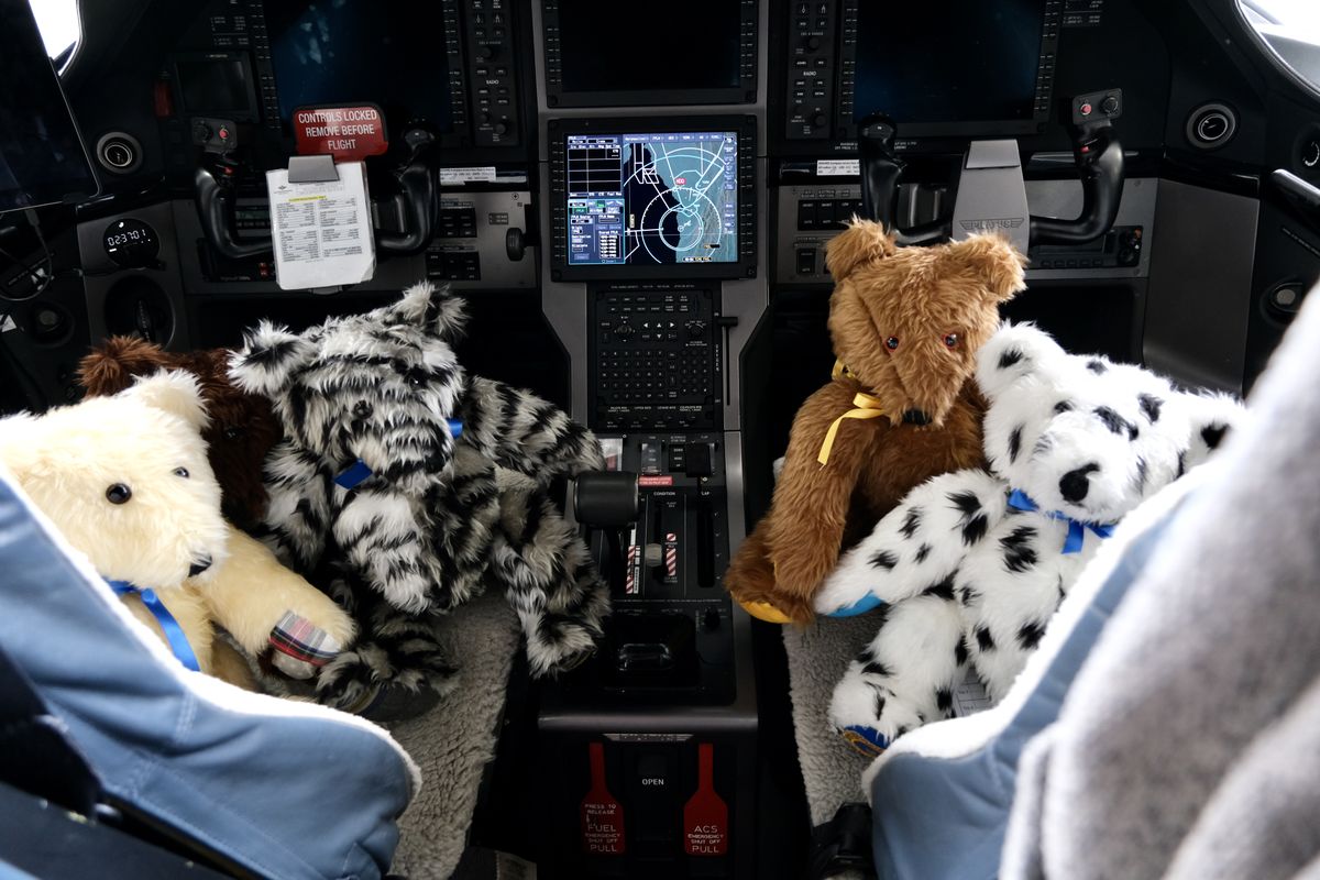 Pembroke bears cockpit