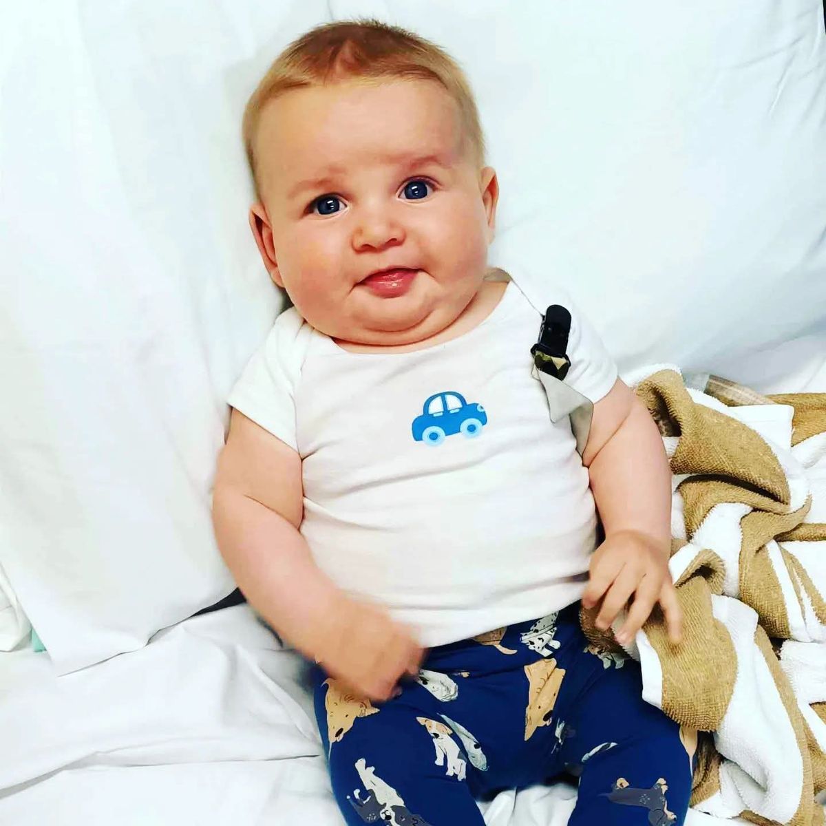Willow at hospital