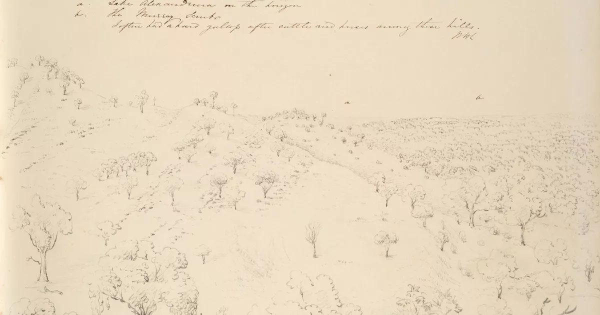 View from part of the Bremer Ranges - AGSA Collection