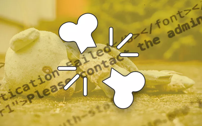 Photo of a torn teddy bear with a snippet of error code and an icon of a broken bone overlaid on top.