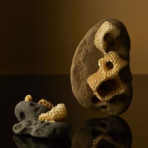 Two beautiful stone pieces that bees have built honeycomb on in a collaborative sculpure with a