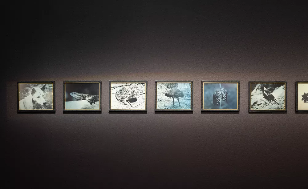Tuesday Talks - Leigh Robb discusses the work of James Tylor in the ...