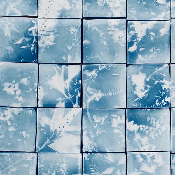 An image of a tiled splashback incorporating multiple blue and white tiles with a flower cyanotype print