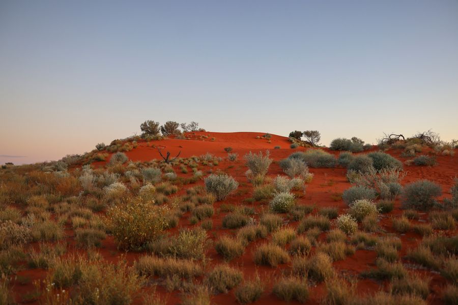 Red dirt