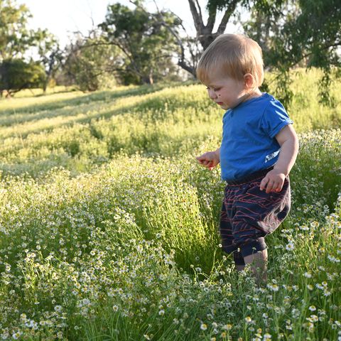 Rowan